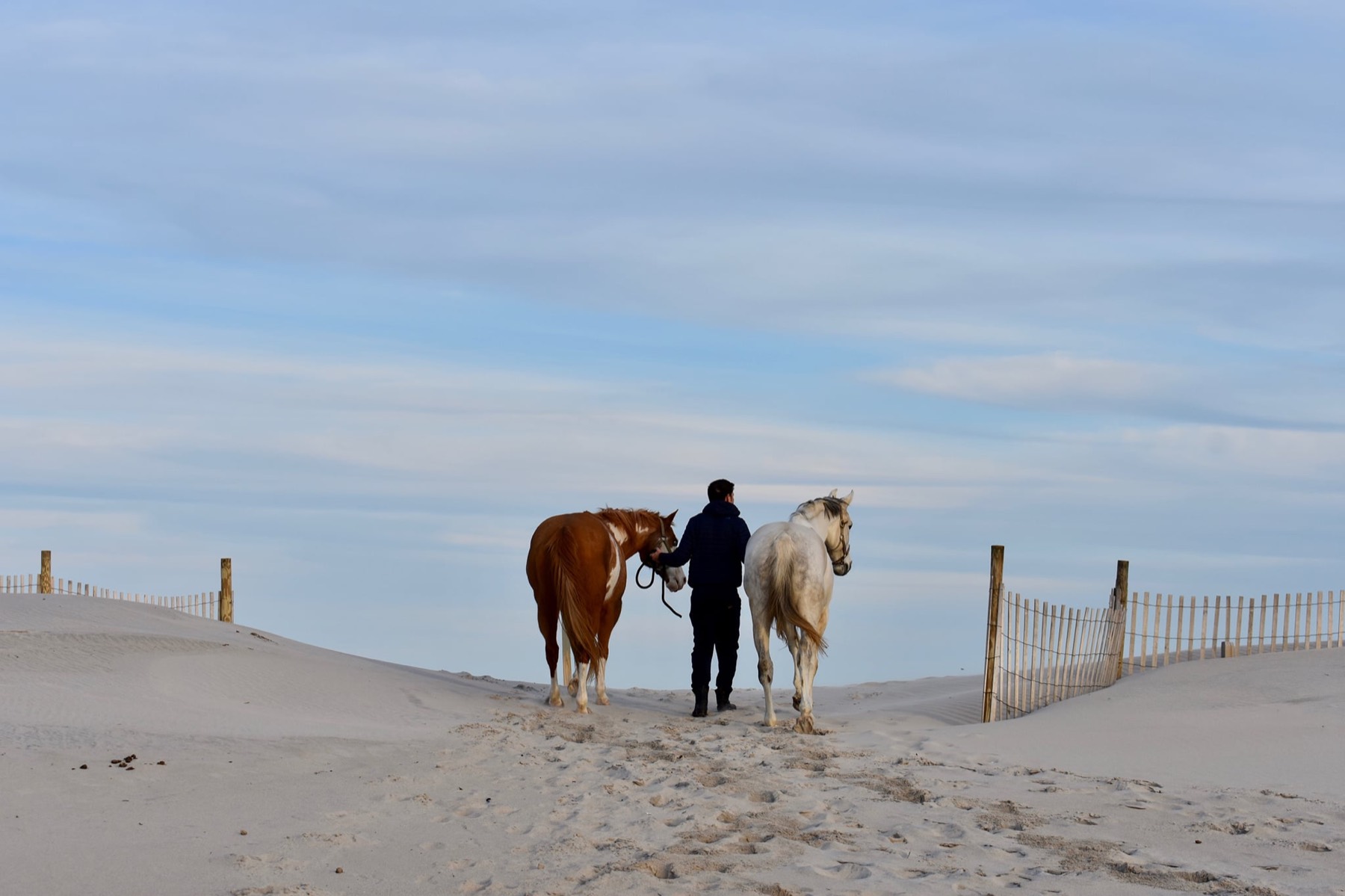 A horseman leading two horses across the dunes at first light.