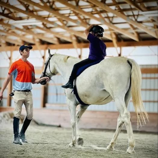 An instructor leads a young rider on a steady grey lesson horse.