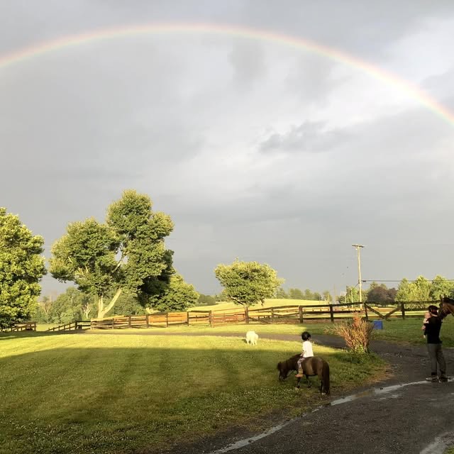 A rainbow over a horse farm after the rain.